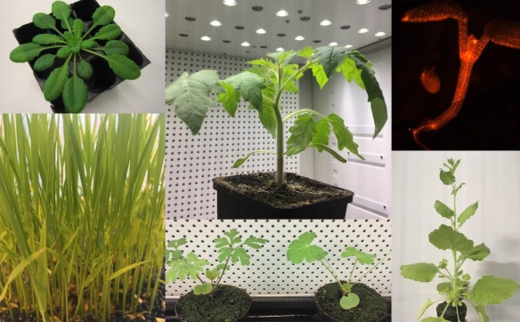 BiodiversityLab-small